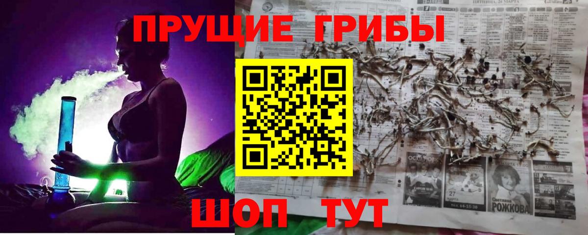 Псилоцибиновые грибы Cubensis Мелеуз
